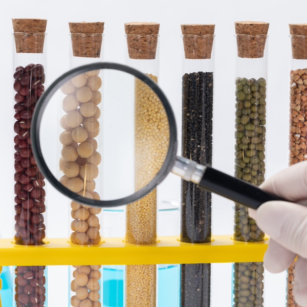 Closeup of a scientist examining beans in a laboratory against a white background