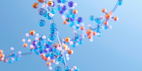 Amino acids in protein molecules, essential for DNA molecular structure,